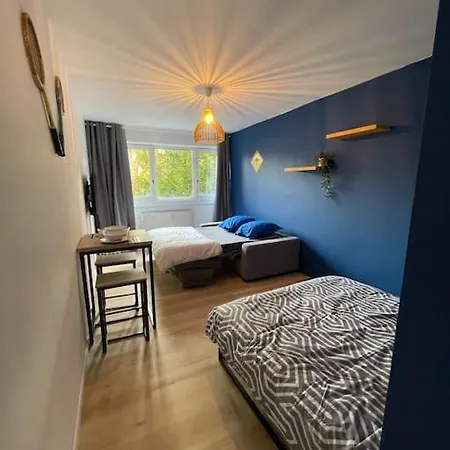 L'Open D'Australie Apartment Chalon-sur-Saone Exterior photo